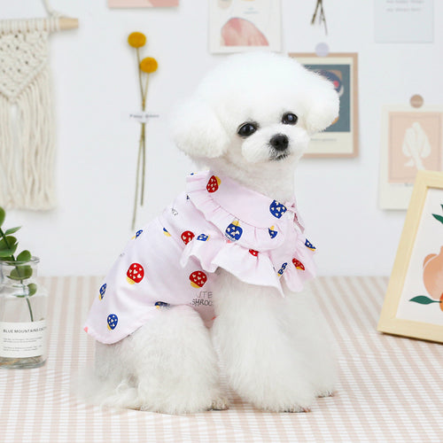 Pet Clothes