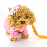 New 48 one generation toy  " Creative Electric Lead Rope Puppy Electronic Pet Remote Control Toy